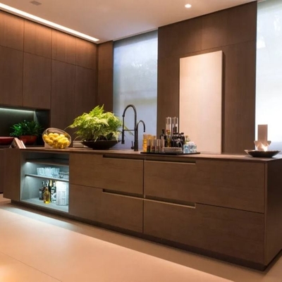 Muebles simples de lujo de la casa, armario de cocina impermeable de la chapa negra