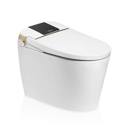 Retrete elegante inteligente del cuarto de baño del sensor del bidé rasante automático eléctrico de lujo del Wc