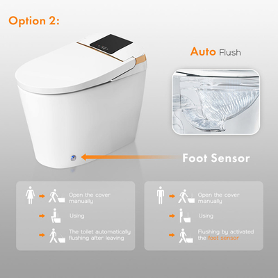 Retrete elegante inteligente del cuarto de baño del sensor del bidé rasante automático eléctrico de lujo del Wc