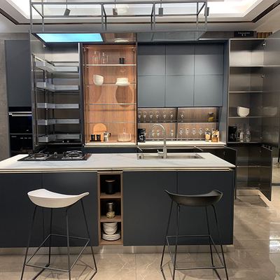 Cad que dibuja a los armarios de cocina modulares económicos con las puertas de la pintura de la laca