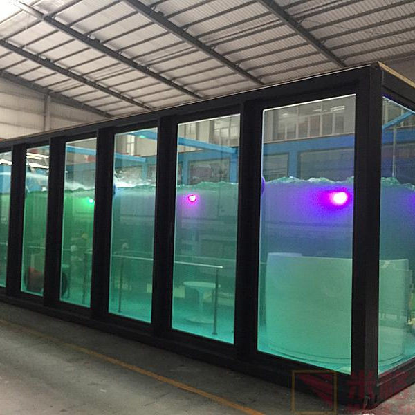 El estándar de los E.E.U.U. América modificó el color y la piscina para requisitos particulares material del envase los 20ft los 40ft con agua Jet Led Light de la onda
